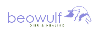 Logo Beowulf Healing & Harmony